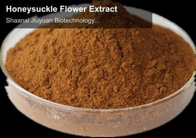 Honeysuckle Flower Extract
