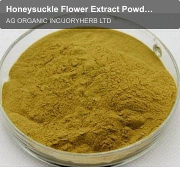 Honeysuckle Flower Extract Powder 5%