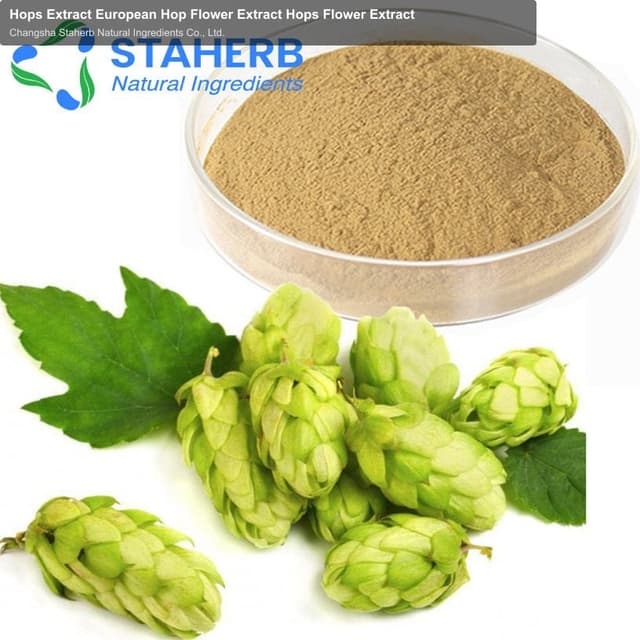 Hops Extract European Hop Flower Extract Hops Flower Extract
