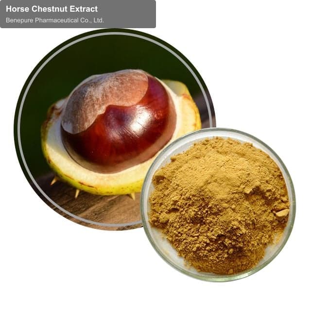 Horse Chestnut Extract