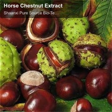 Horse Chestnut Extract