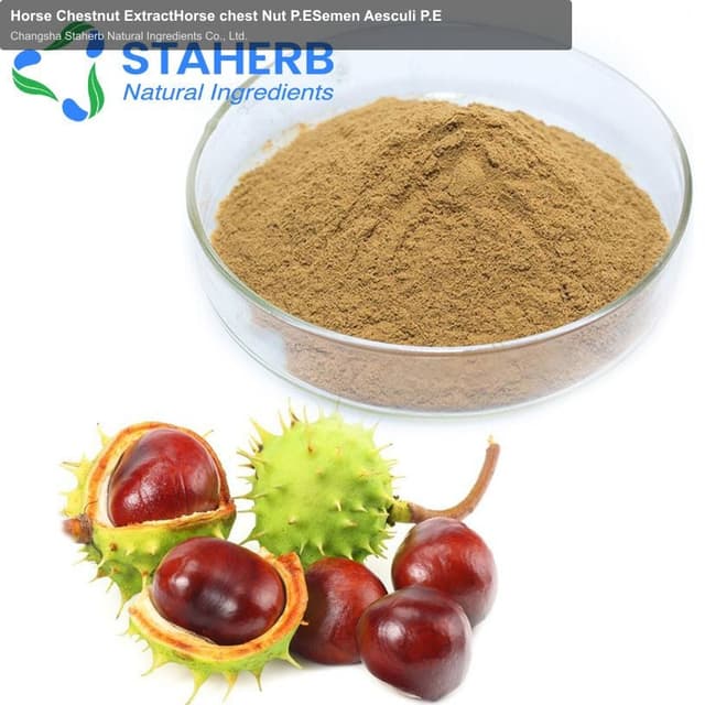 Horse Chestnut ExtractHorse chest Nut P.ESemen Aesculi P.E