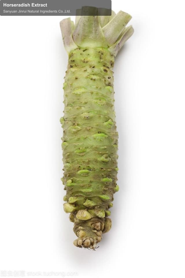 Horseradish Extract