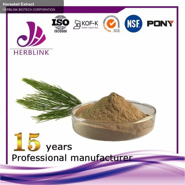 Horsetail Extract