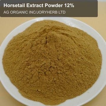 Horsetail Extract Powder 12%