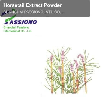 Horsetail Extract Powder