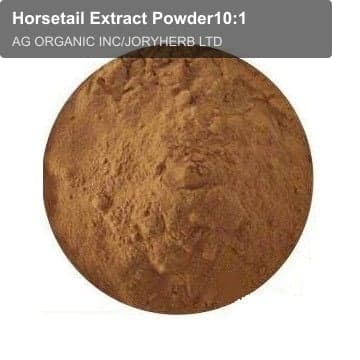 Horsetail Extract Powder10:1