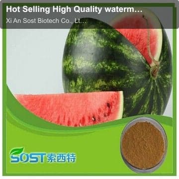 Hot Selling High Quality watermelon rind extract