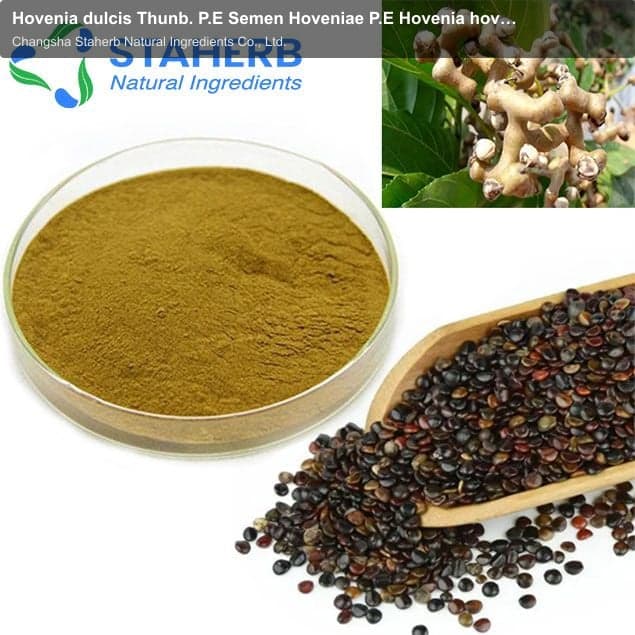 Hovenia dulcis Thunb. P.E Semen Hoveniae P.E Hovenia hovenia extract