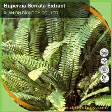 Huperzia Serrata Extract