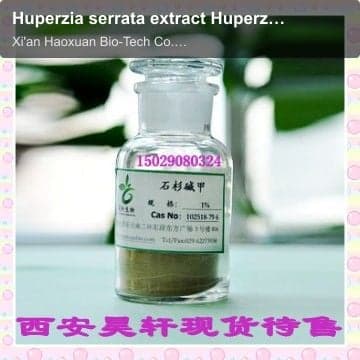 Huperzia serrata extract Huperzine A 1% 5% 98%