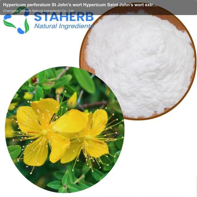 Hypericum perforatum St John's wort Hypericum Saint John's wort extract
