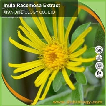 Inula Racemosa Extract