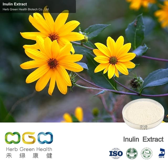 Inulin Extract