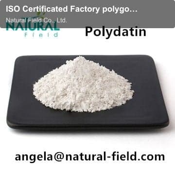 ISO Certificated Factory polygonum cuspidatum extract polydatin powder