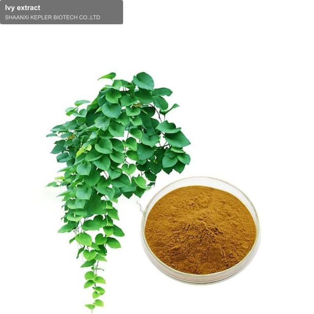 Ivy extract