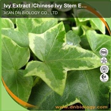 Ivy Extract /Chinese Ivy Stem Extract
