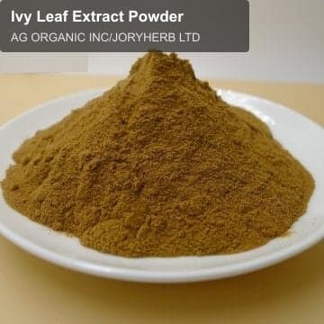 Ivy Leaf Extract Powder