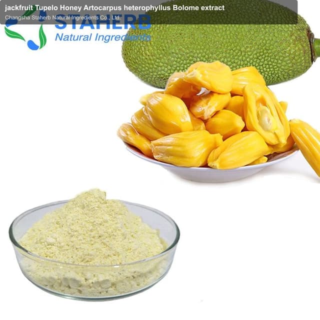 jackfruit Tupelo Honey Artocarpus heterophyllus Bolome extract