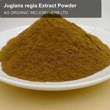 Juglans regia Extract Powder