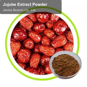 Jujube Extract Powder