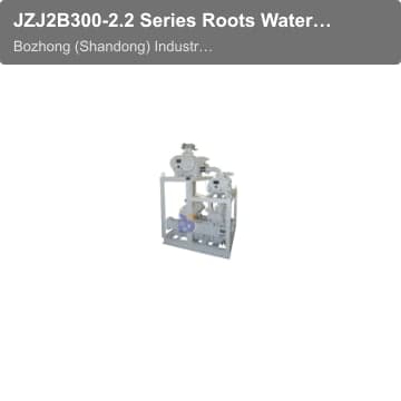 JZJ2B300-2.2 Series Roots Water Ring Vacuum Unit