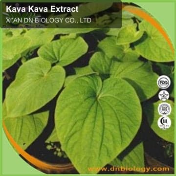 Kava Kava Extract