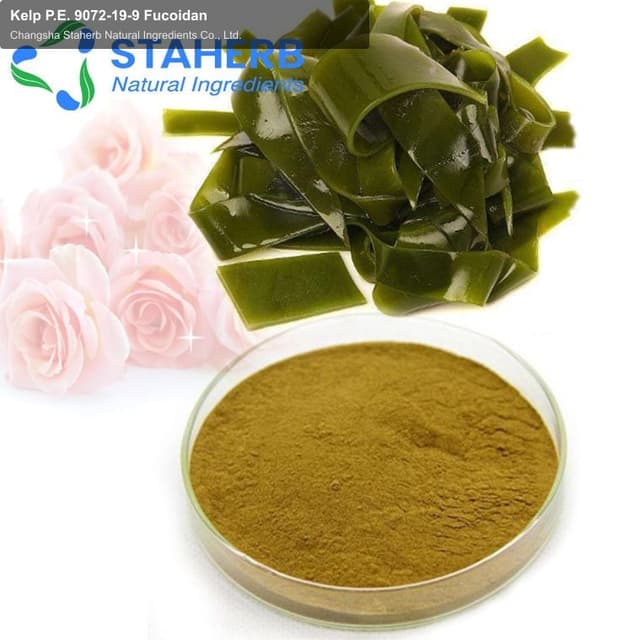 Kelp P.E. 9072-19-9 Fucoidan