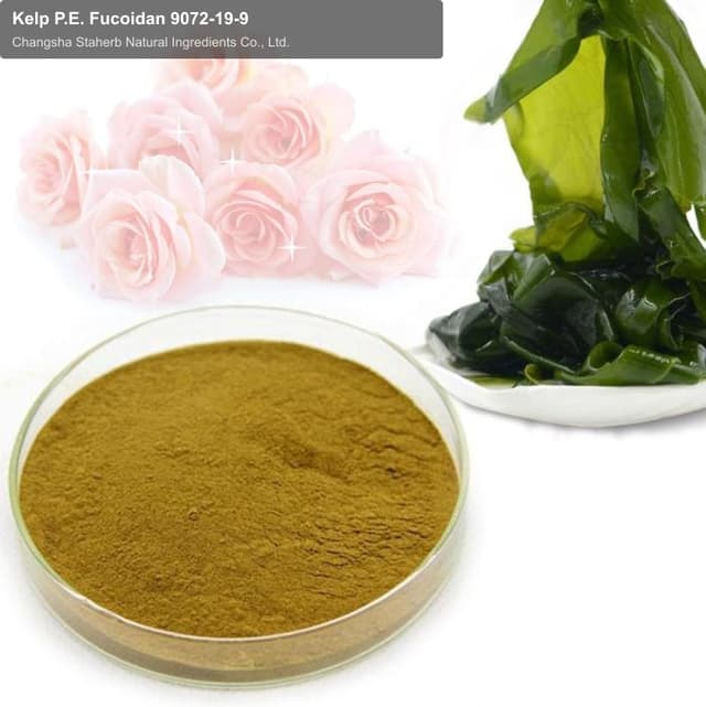 Kelp P.E. Fucoidan 9072-19-9