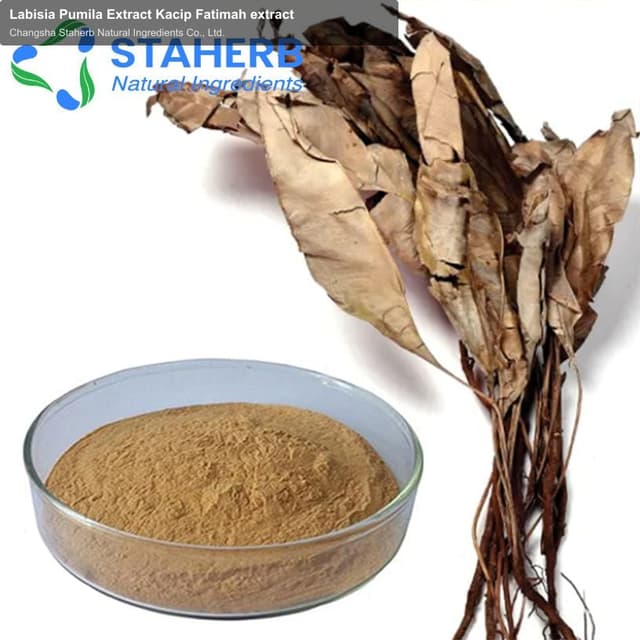 Labisia Pumila Extract Kacip Fatimah extract