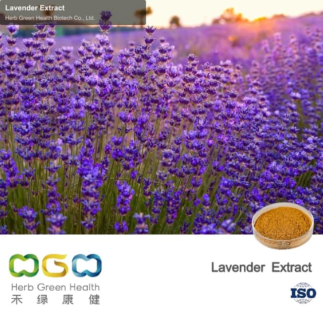 Lavender Extract