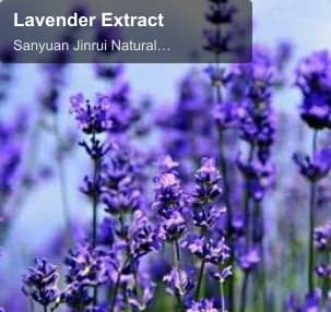 Lavender Extract