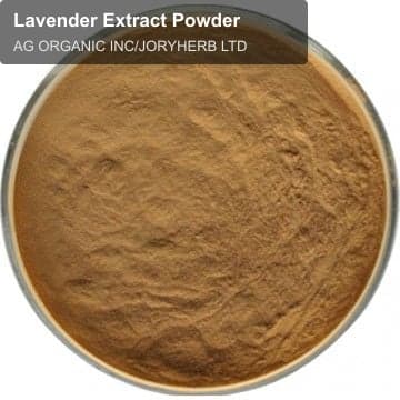 Lavender Extract Powder