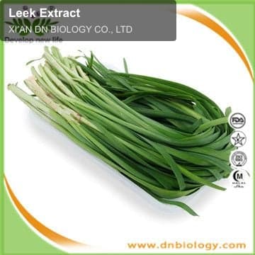 Leek Extract