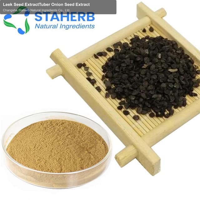 Leek Seed ExtractTuber Onion Seed Extract
