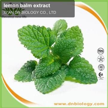 lemon balm extract