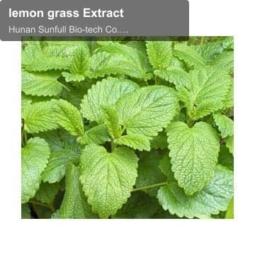 lemon grass Extract
