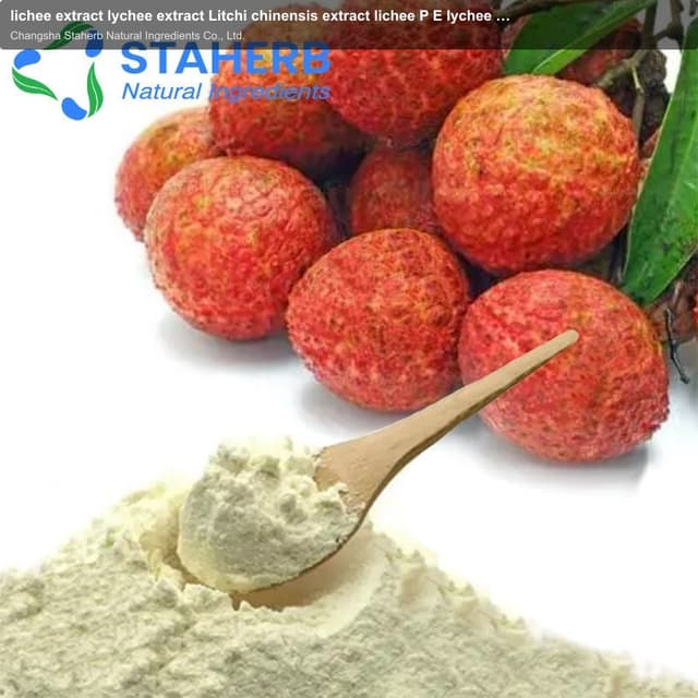lichee extract lychee extract Litchi chinensis extract lichee P E lychee P E Litchi chinensis P E