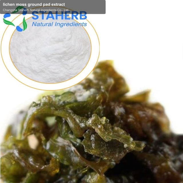 lichen moss ground pad extract