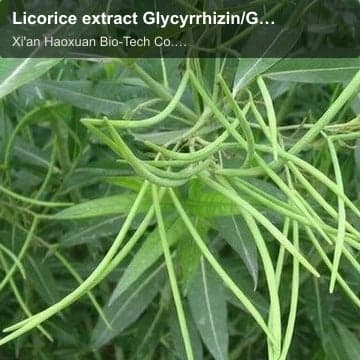 Licorice extract Glycyrrhizin/Glycyrrhizic Acid