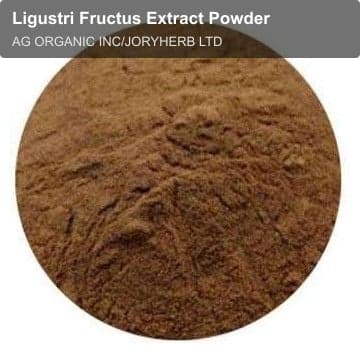 Ligustri Fructus Extract Powder