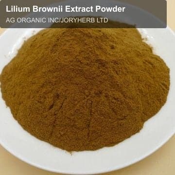 Lilium Brownii Extract Powder