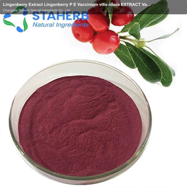 Lingonberry Extract Lingonberry P E Vaccinium vitis-idaea EXTRACT Vaccinium vitis-idaea PE