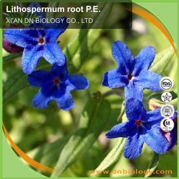 Lithospermum root P.E.