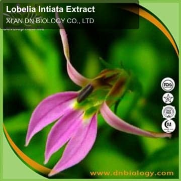 Lobelia Intiata Extract