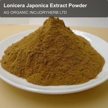 Lonicera Japonica Extract Powder