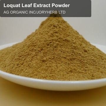 Loquat Leaf Extract Powder