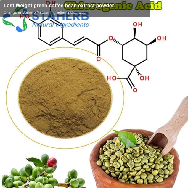 Lost Weight green coffee bean extract powder