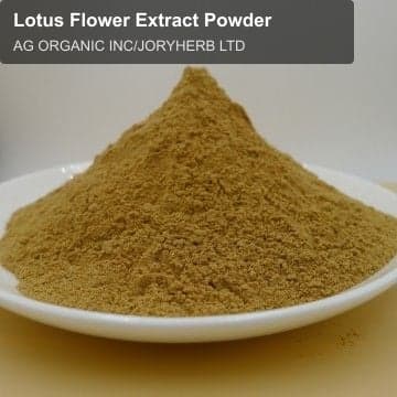Lotus Flower Extract Powder