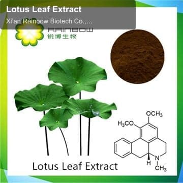 Lotus Leaf Extract